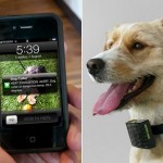 С помощью ошейника Dog Caller, теперь собаки могут оправлять текстовые сообщения