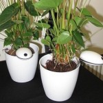 Wi-Fi Plant Sensor – датчик который следит за домашними растениями и помогает за ними ухаживать