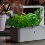 Миниатюрный «умный» сад