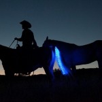 Tail Lights – светодиодная подсветка для хвостов лошадей