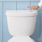 Вам больше не придется дотрагиваться до туалета чтоб спустить воду