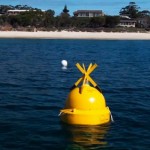 Бакены Clever Buoy  оснащенные гидролокаторами будут предупреждать о приближении акул