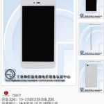 На сайте TENAA  появилась информация о новом 5,5-дюймовом смартфон  Smartisan YQ607