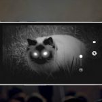 Lumigon T3 – первый смартфон в мире с камерой ночного видения