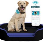 Petrics – умная кровать для животных
