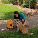 PetScrub – пылесос для быстрой и безболезненной очистки собак от грязи