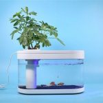 Компактный аквариум Xiaomi который может работать от повербанки стоит 45$
