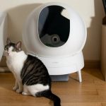 Кошачий туалет Aimicat возьмет всю грязную работу по уборке за домашним любимцем на себя