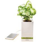 Горшок для комнатных растений  LeGrow TG-P1 позаботиться о домашнем саду и зарядит смартфон