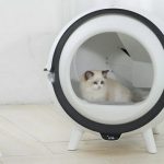 Catson – автоматизированный лоток для котов с весами и ультрафиолетовым санитайзером