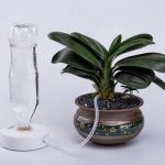 Автоматическая система капельного полива Norshire позаботиться о растениях в доме