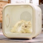 Drybo Plus – фен для животных , быстро высушит домашнего любимца